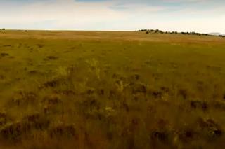  Bedroom Property for Sale in Fauresmith Rural Free State